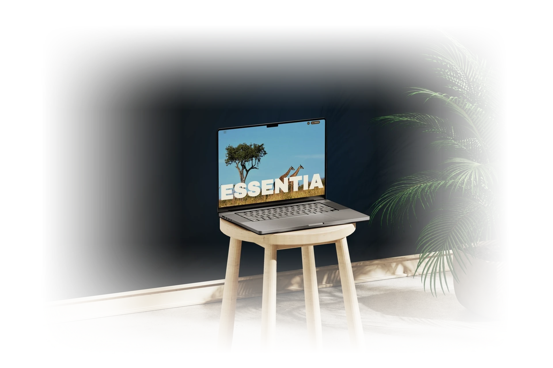Essentia project showcase - Software development by Sigma Global